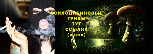 сатива Арсеньев