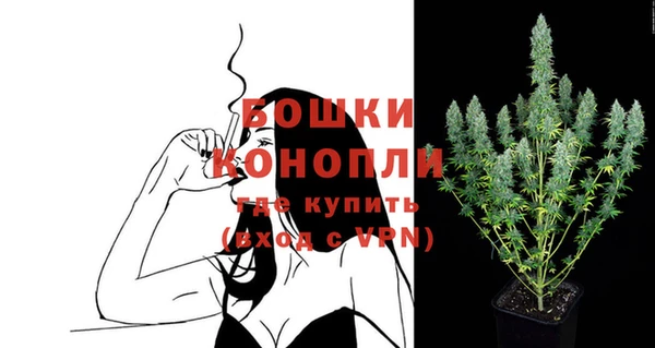 сатива Арсеньев