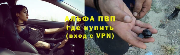 трава Аркадак