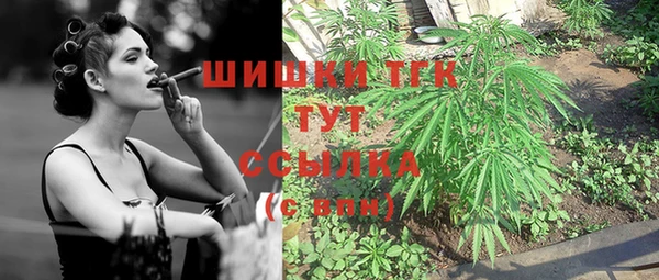 трава Аркадак
